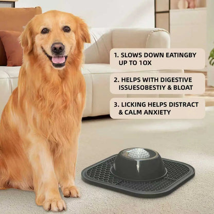 Anti-Slip Slow Feeder Lick Bowl with Built-in Ball