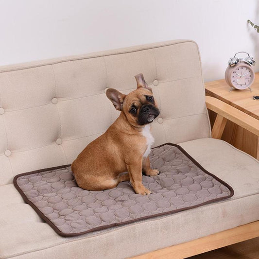 Cooling Pet Mat | Breathable Cool Pad for Dogs & Cats